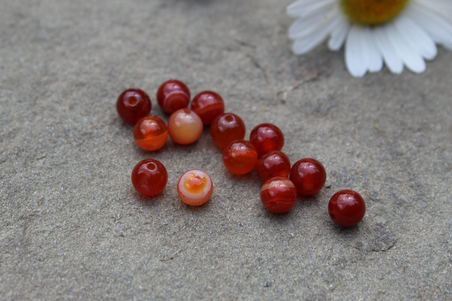 Silver Plated Carnelian Drop Earrings - Aspden & Co Limited Liability Company
